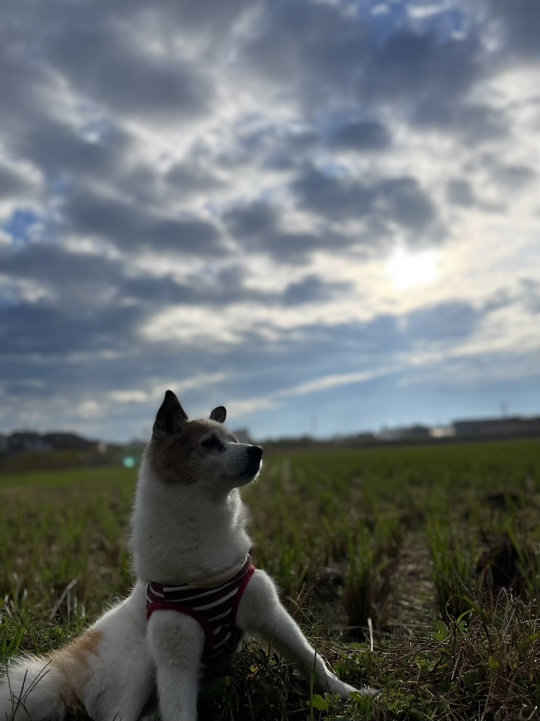 明日を見つめてる？