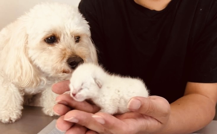 わたしの赤ちゃんかな？