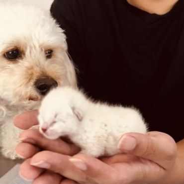 わたしの赤ちゃんかな？