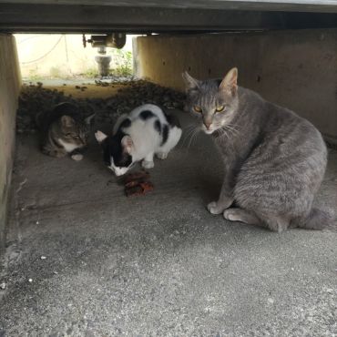 一生懸命生きてるから
