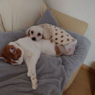 落ちつく〜♡