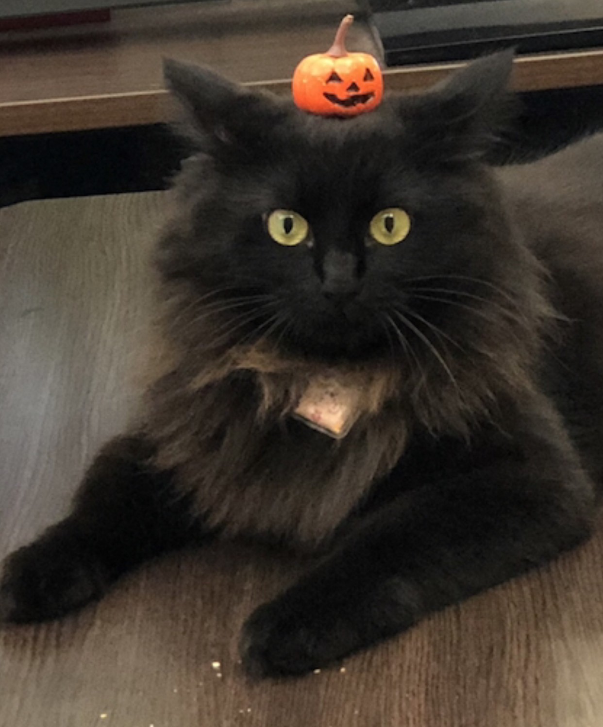 happy！ハロウィン！