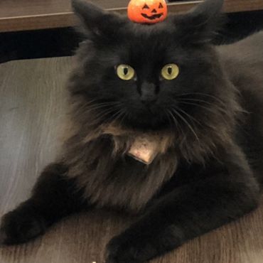 happy！ハロウィン！