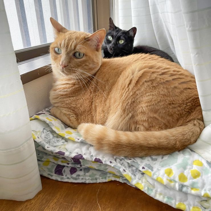 仲良しではないふたり