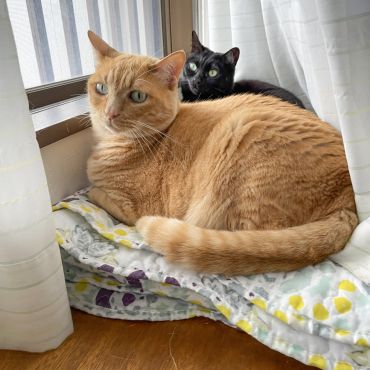 仲良しではないふたり