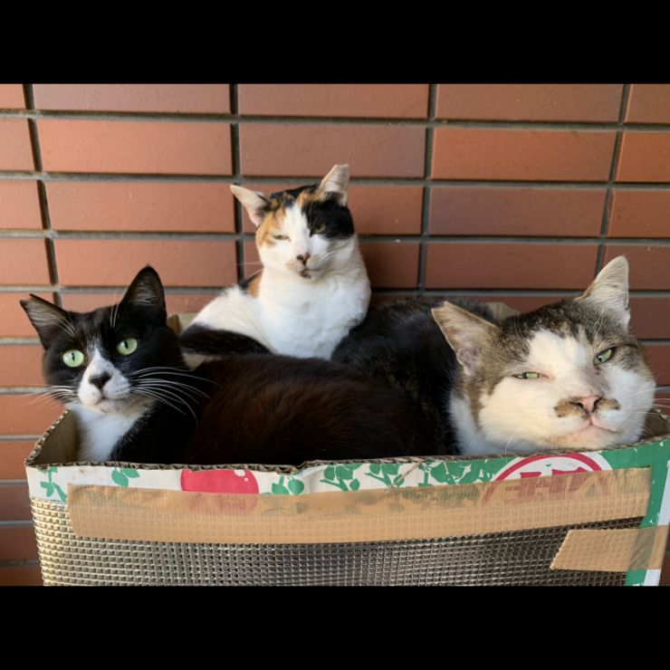 いつも一緒💕