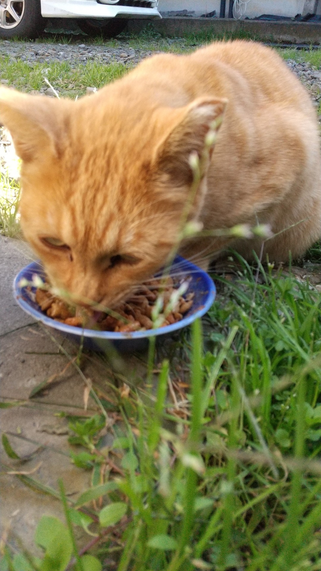美味しい。