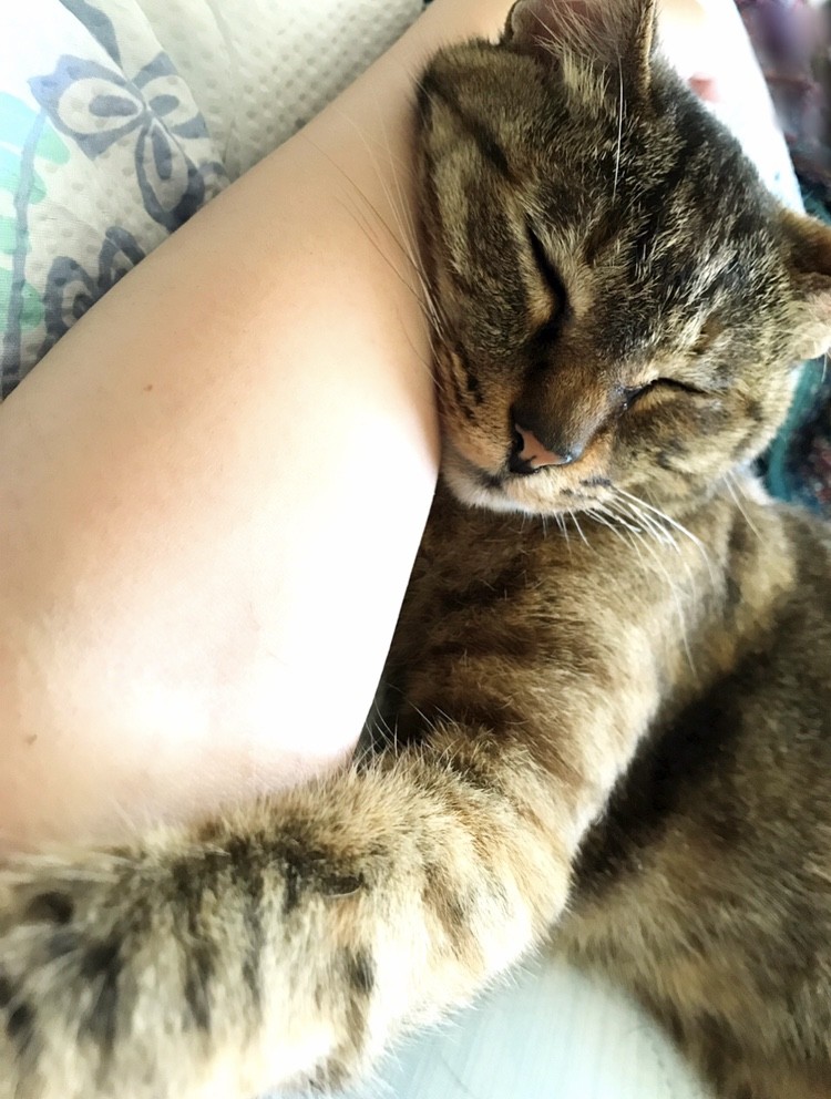 愛が来た