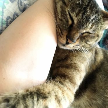 愛が来た