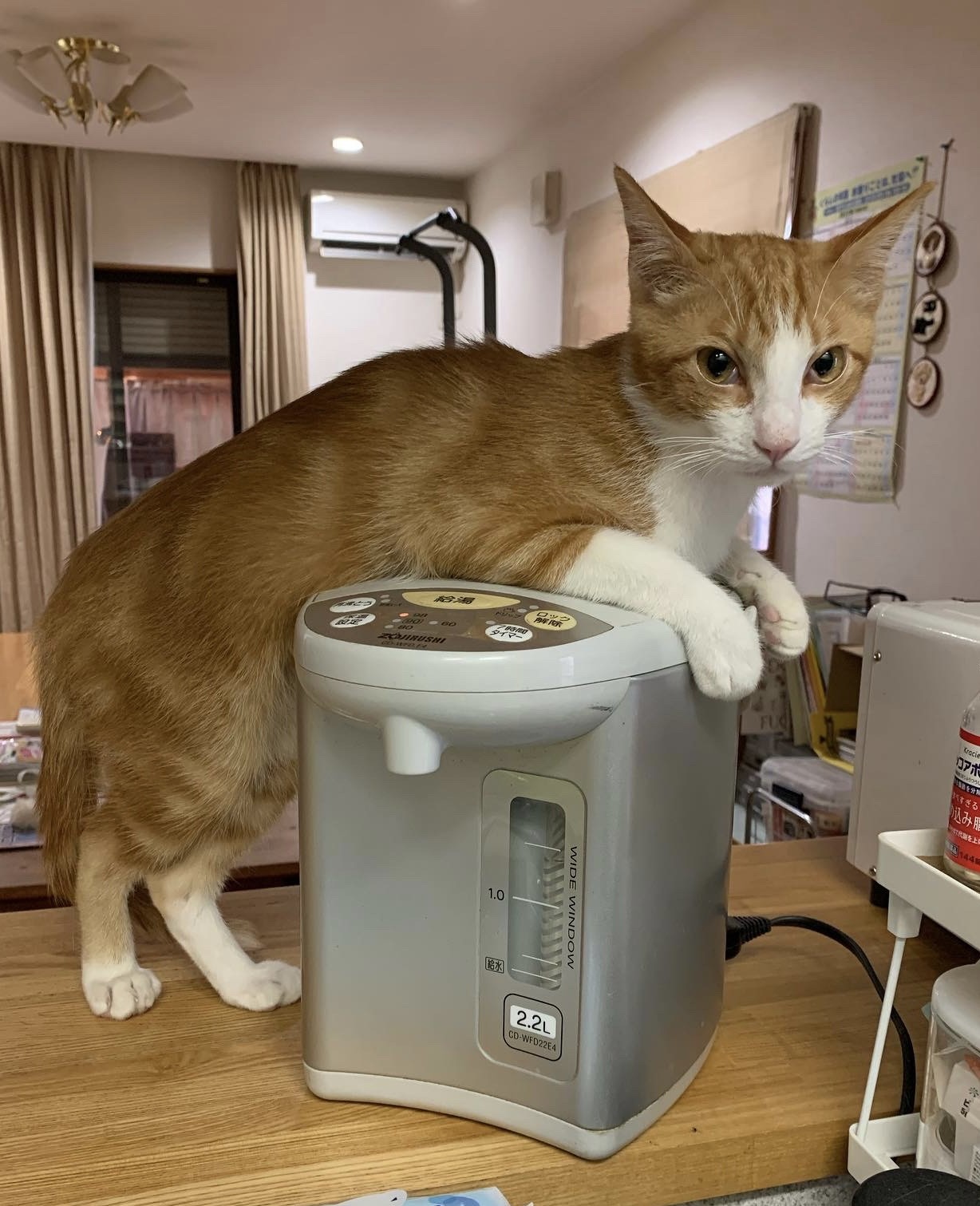 寒がりやねん