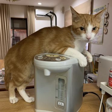 寒がりやねん