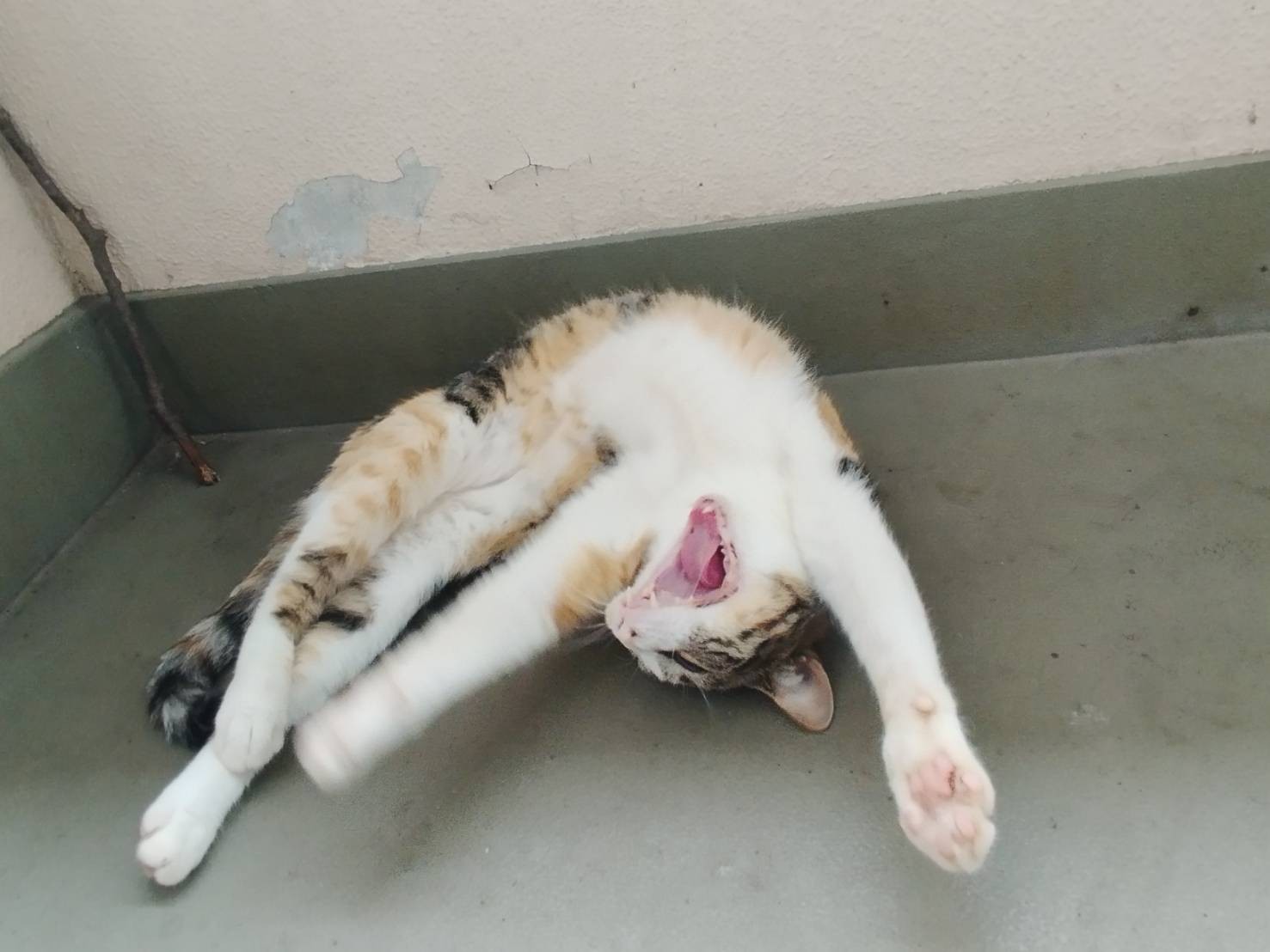 眠たいなぁ