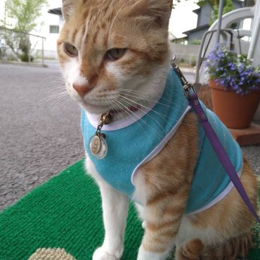爽やかブルー！