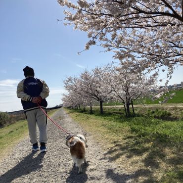 大好きなお父さんと
