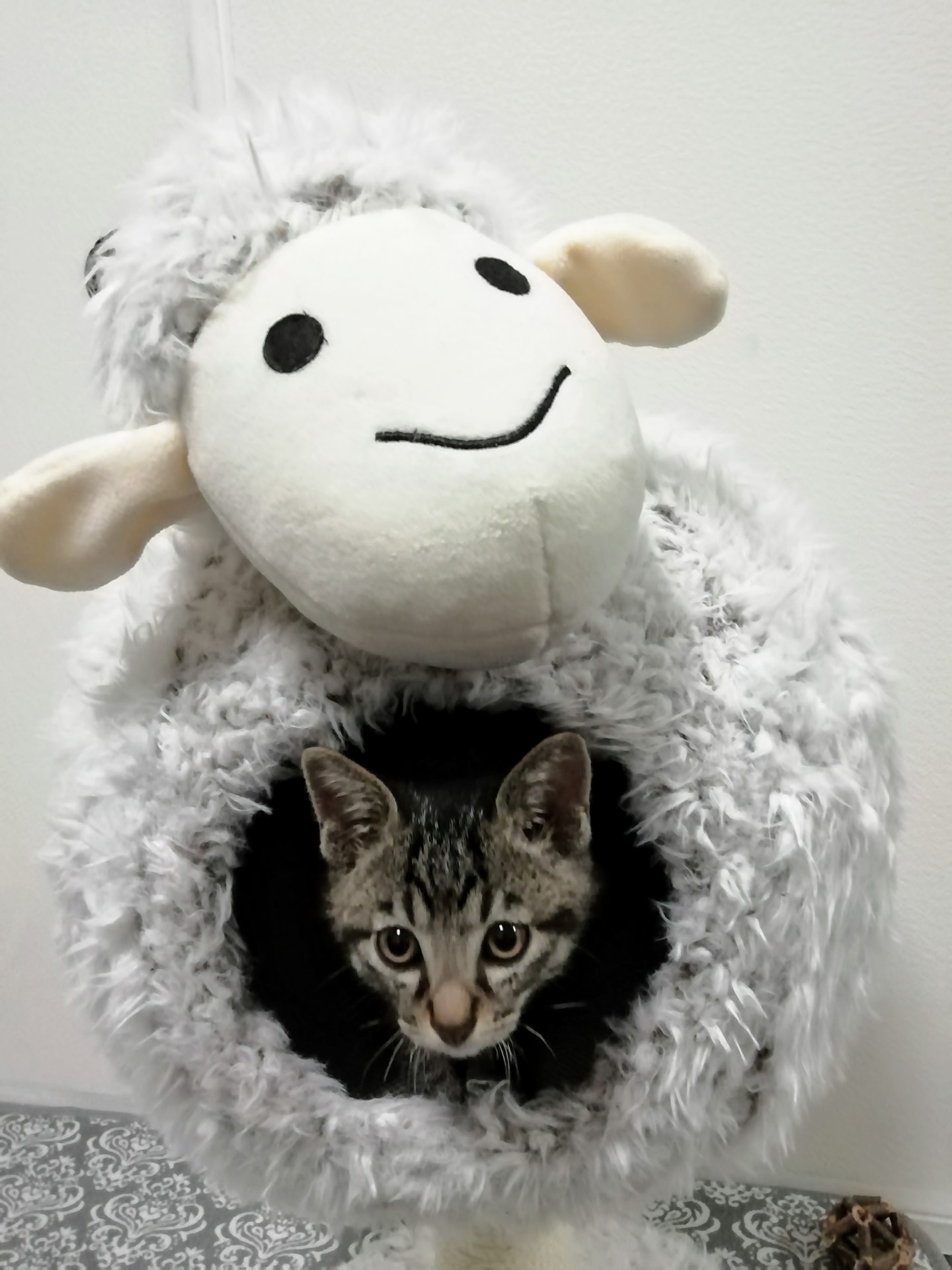 僕の大好きな隠れ家♪