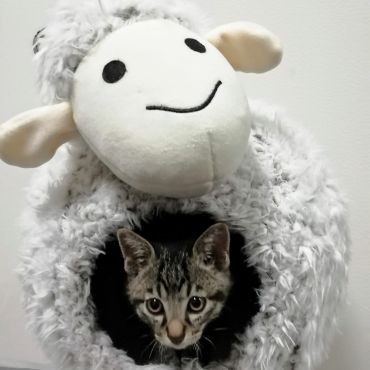 僕の大好きな隠れ家♪