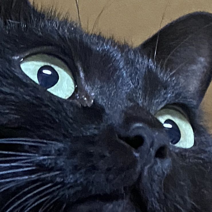 生きる！