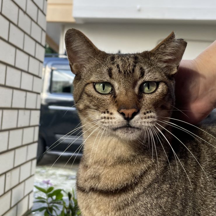 たくましく生きる