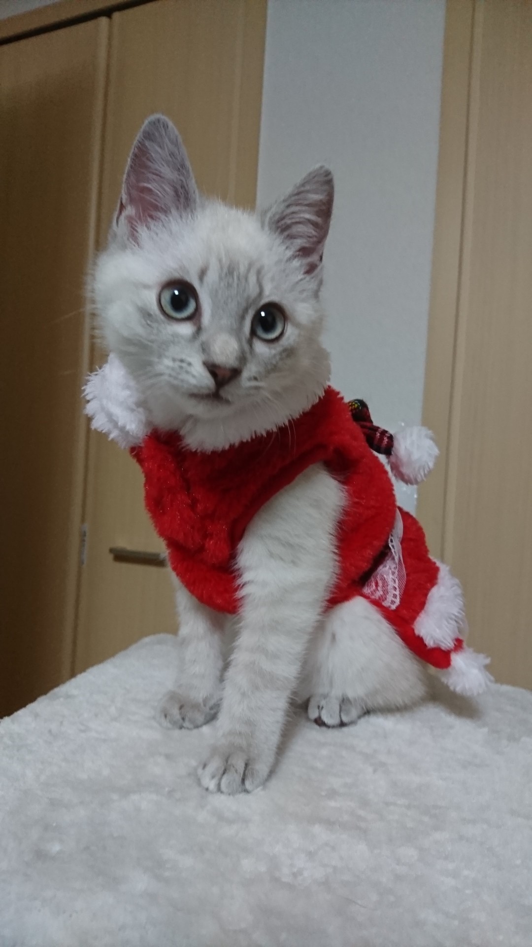 サンタさん