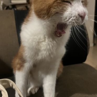 ふわぁぁーーーーーーー！