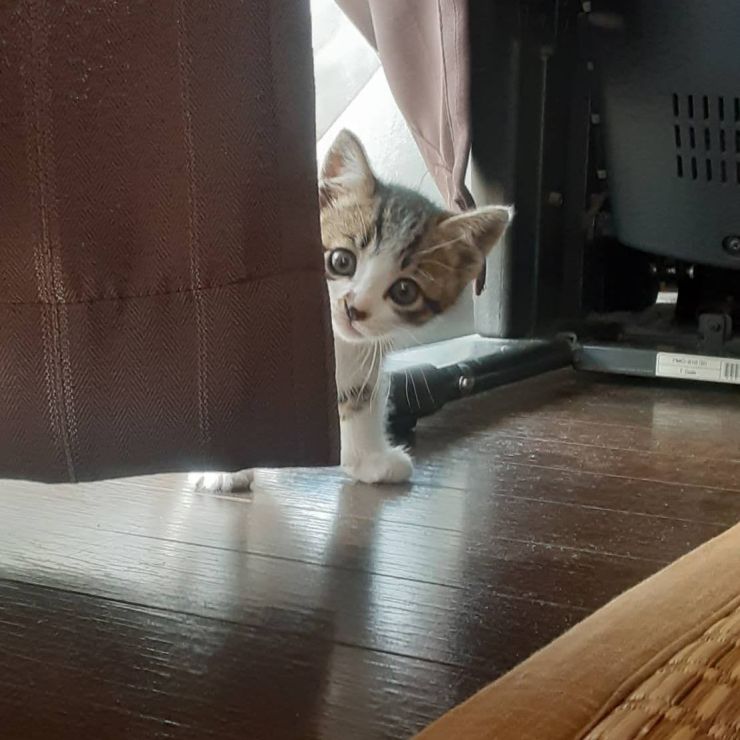 天使がきたよ。