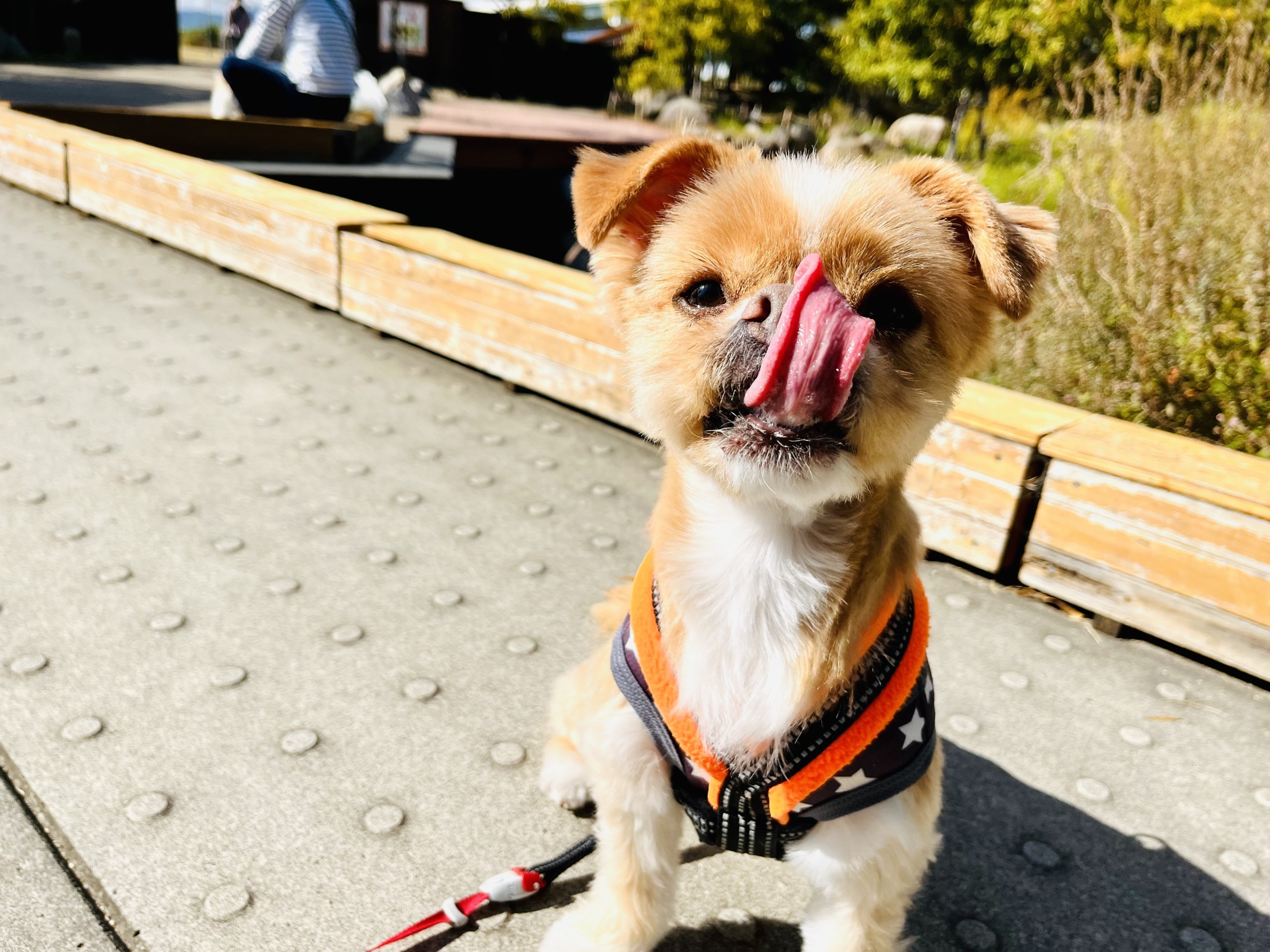 長すぎてゴメン