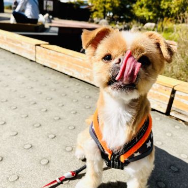長すぎてゴメン