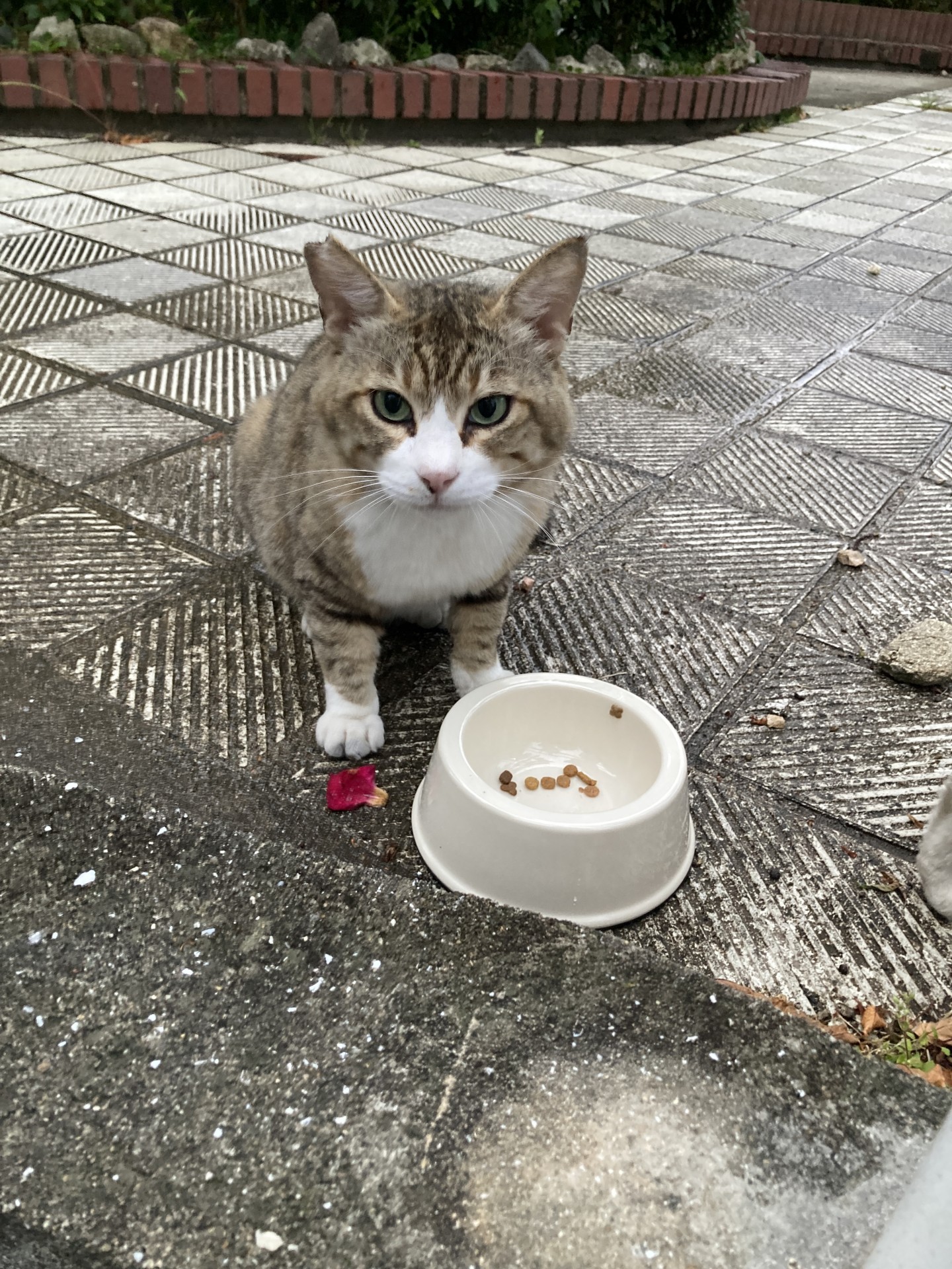 も少し下さいな