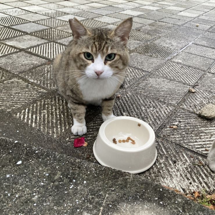 も少し下さいな