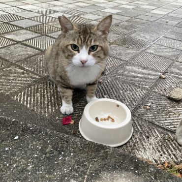 も少し下さいな