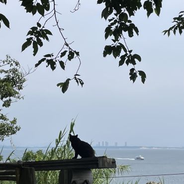 僕たちが来た海の道