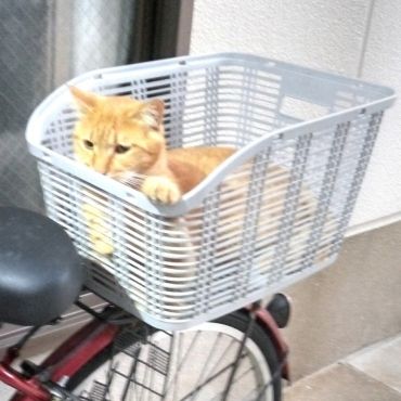 今から買い物行きます！(^_^)