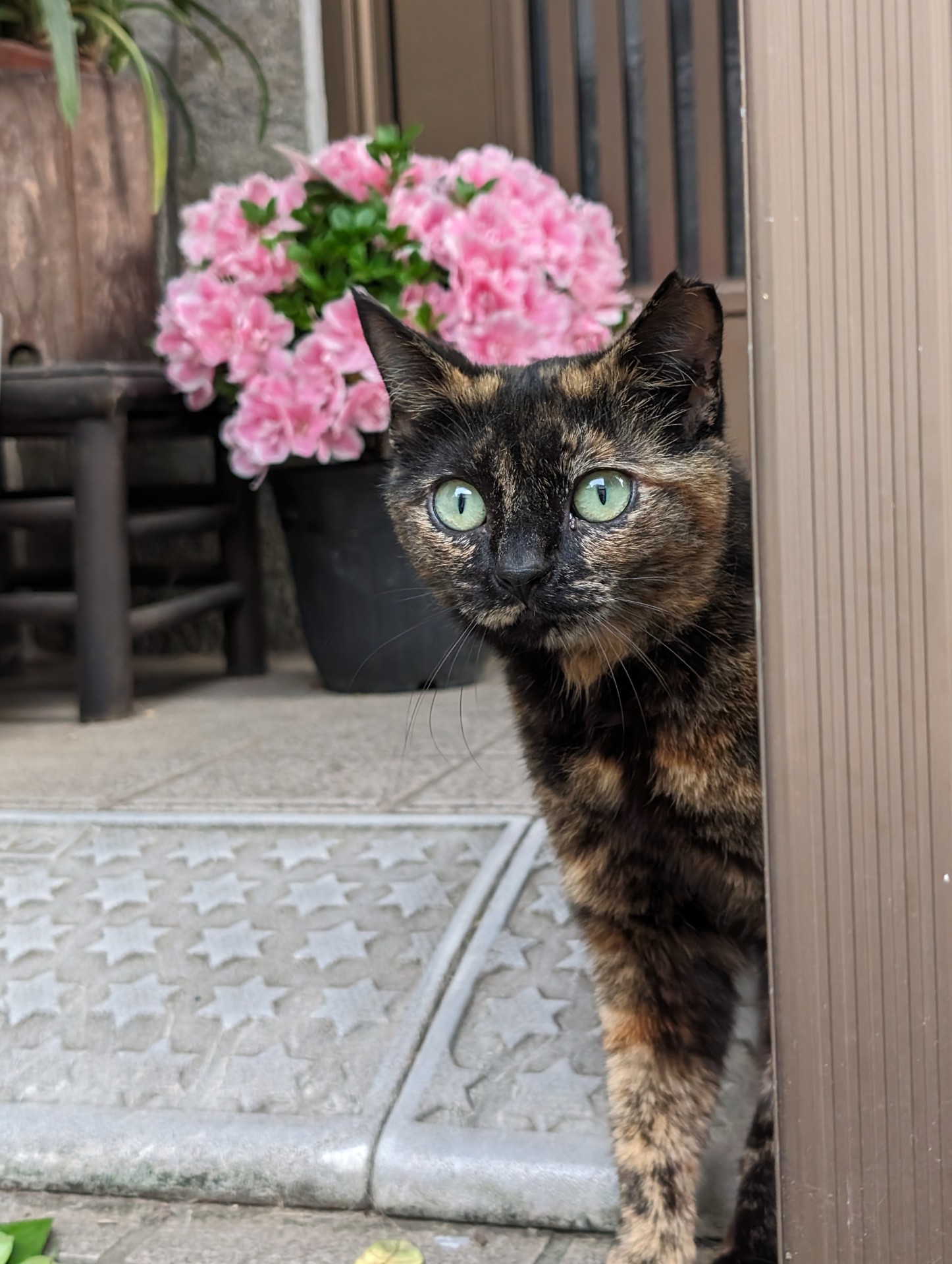みんな仲良し！