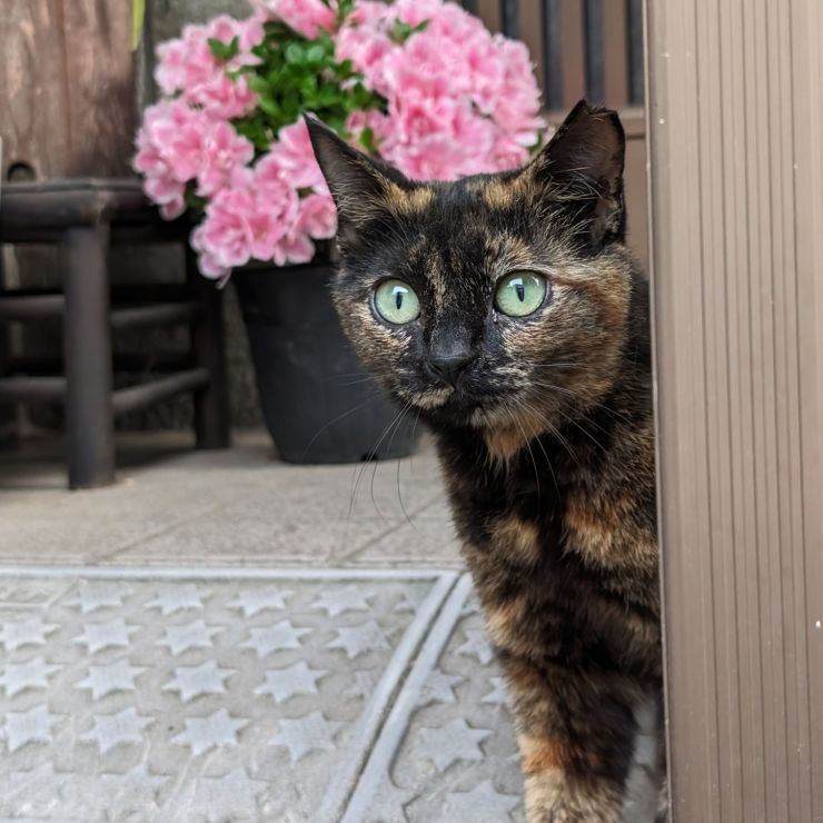 みんな仲良し！