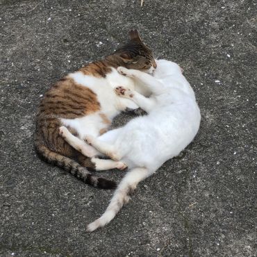 仲良し