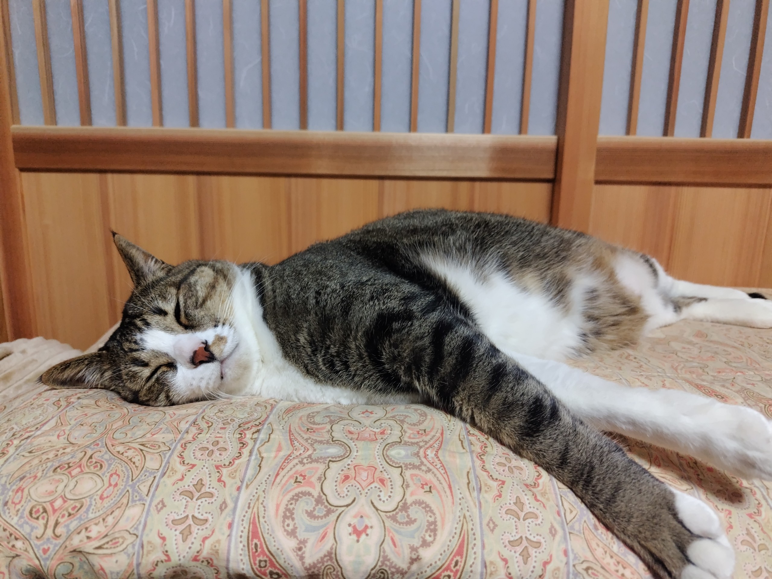 すやすや