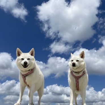 夏空