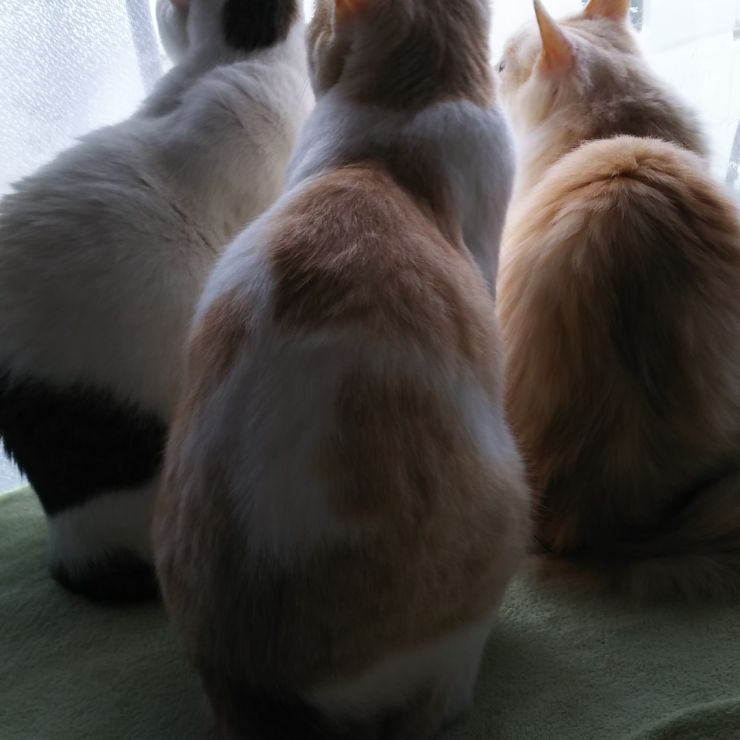 外が気になる？