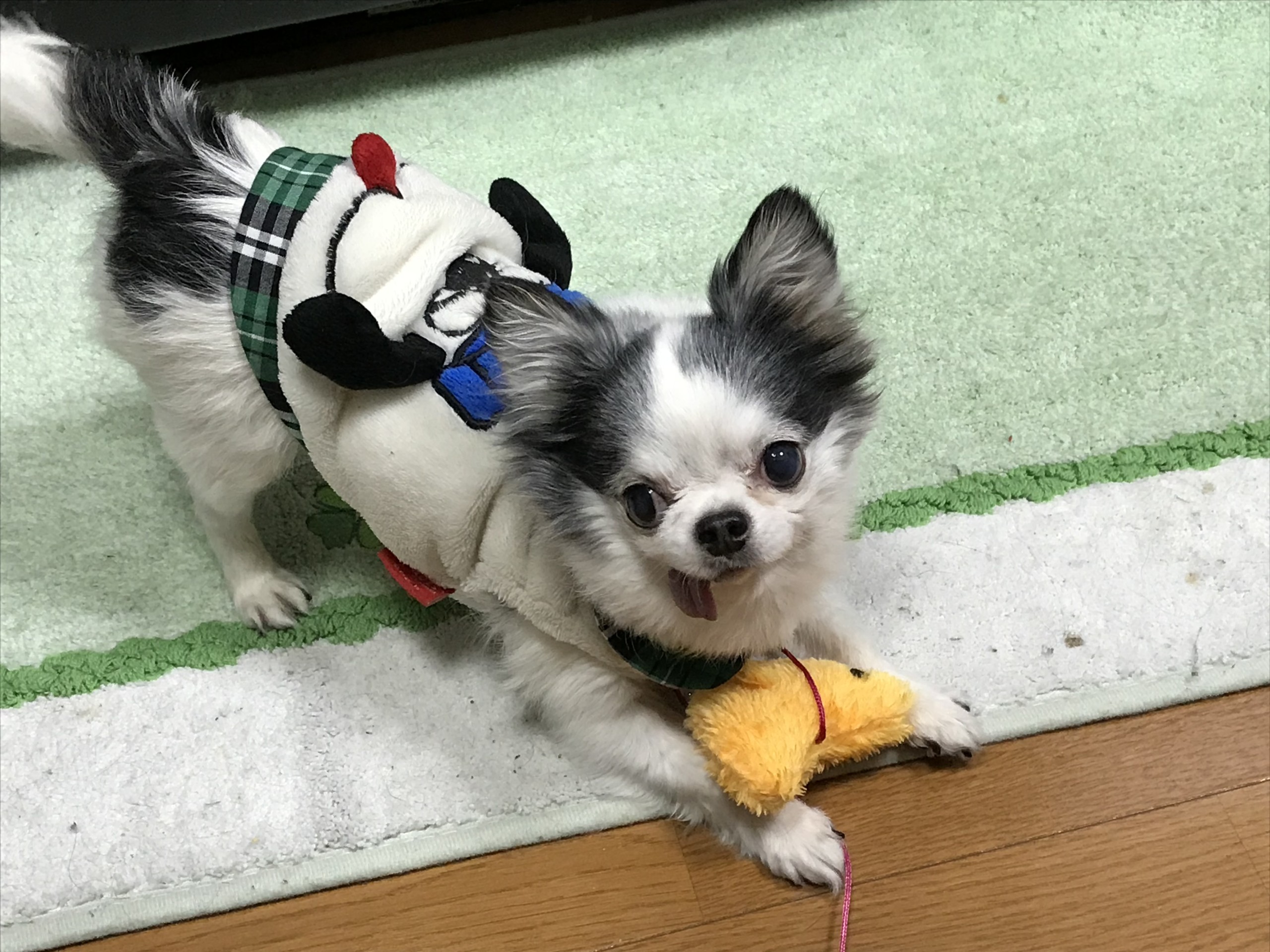 これぼくの！