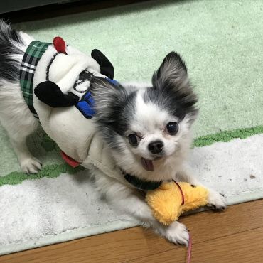 これぼくの！