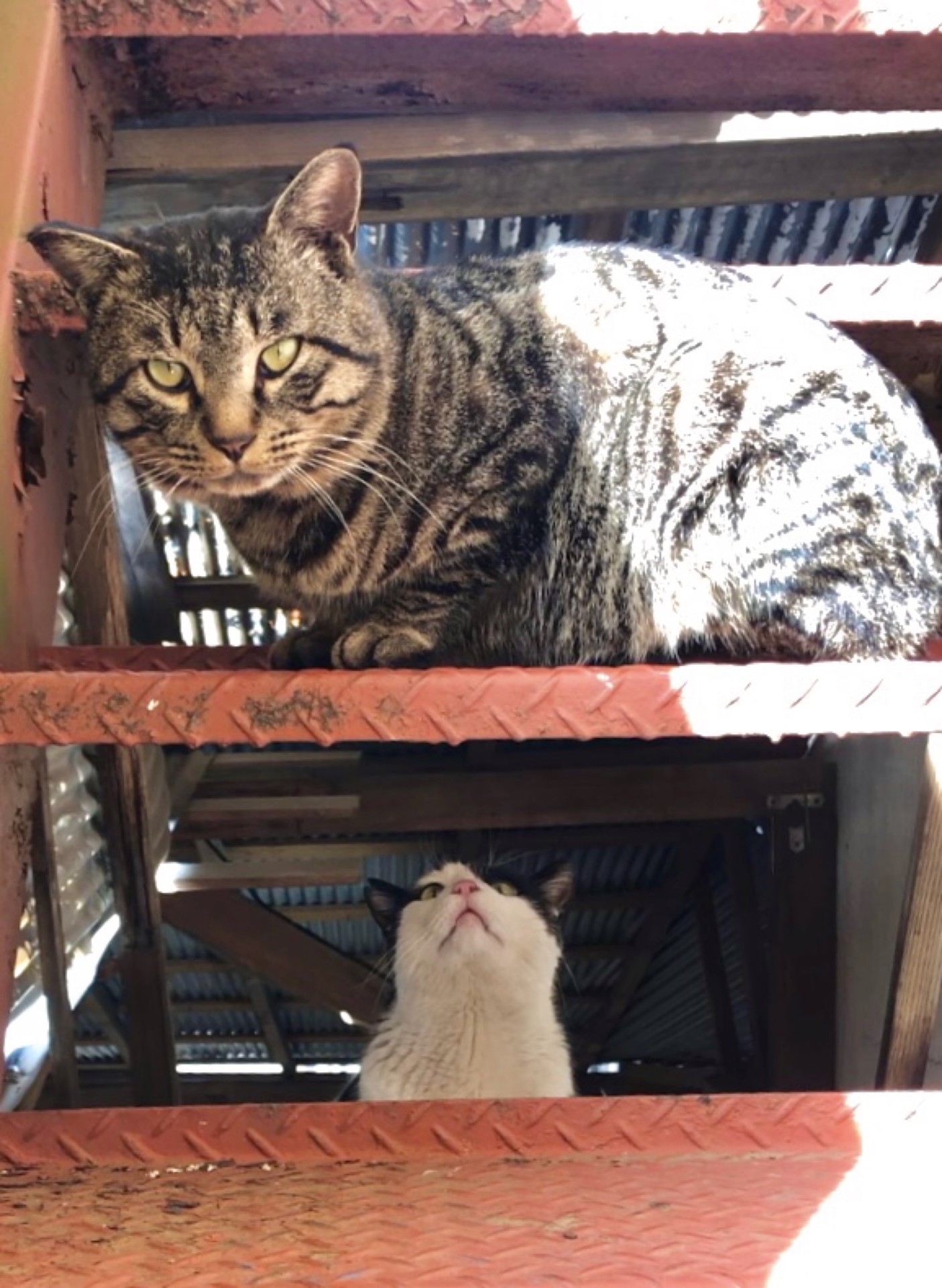 やっっべ…！