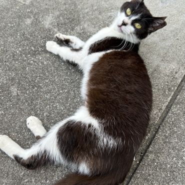 小さな身体で頑張った