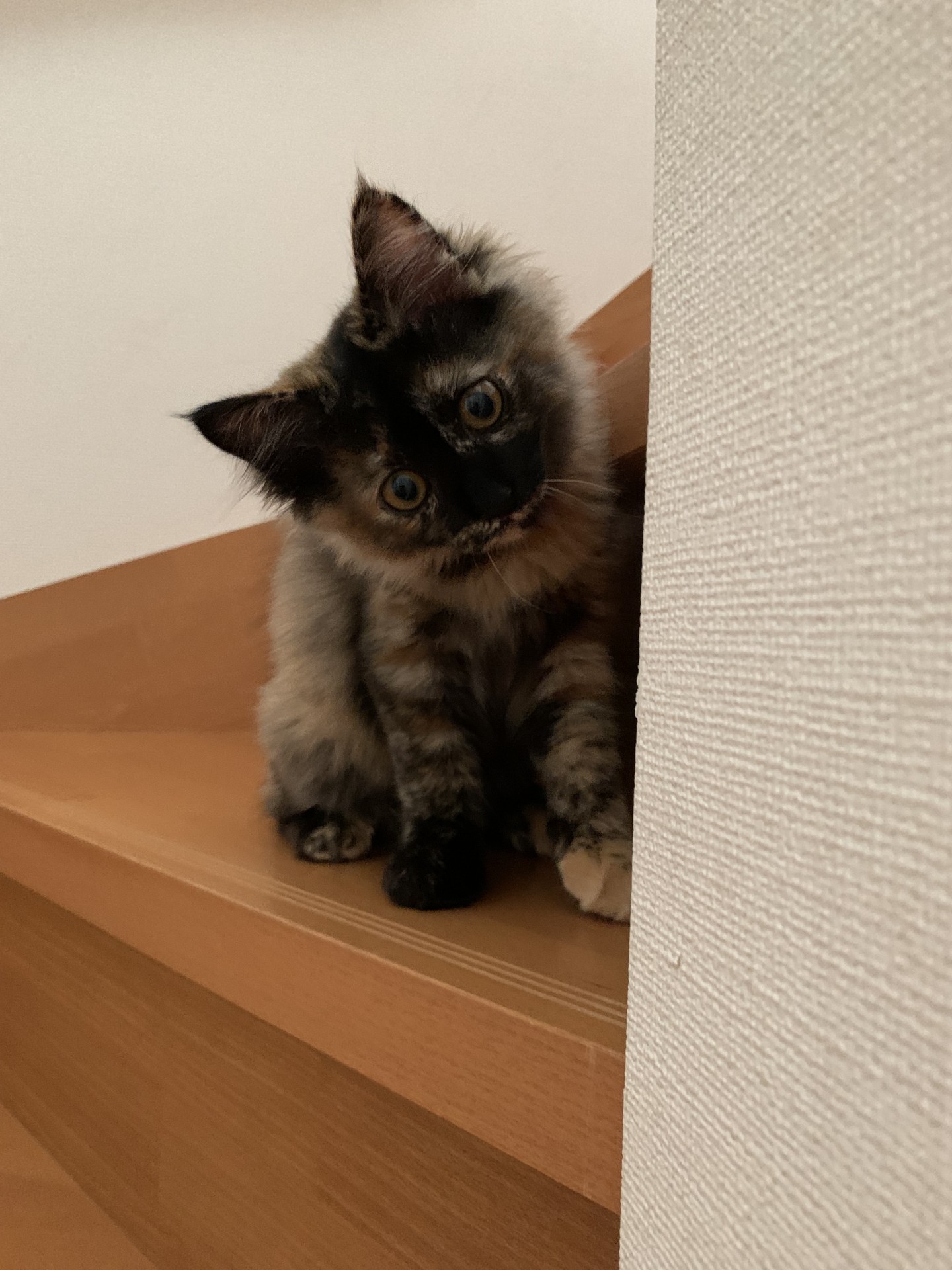 ようこそ！