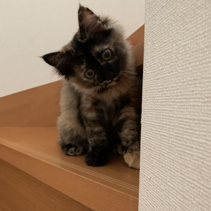ようこそ！