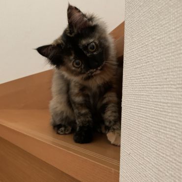 ようこそ！