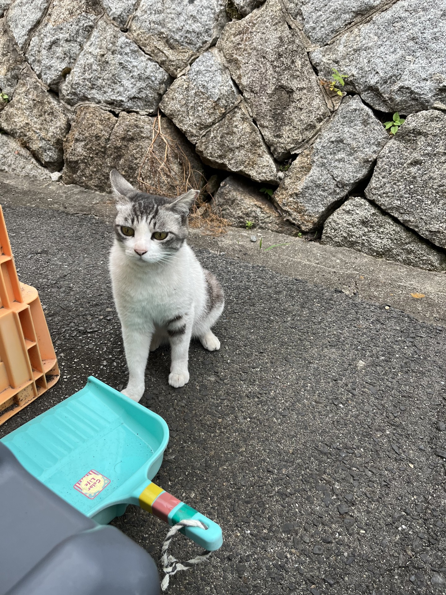 ひたすら自由に暮らす