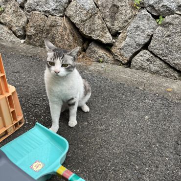 ひたすら自由に暮らす