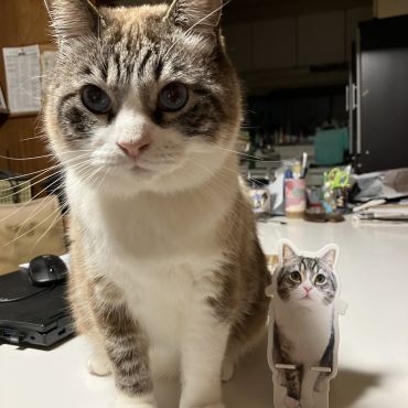 も◯まるではありません