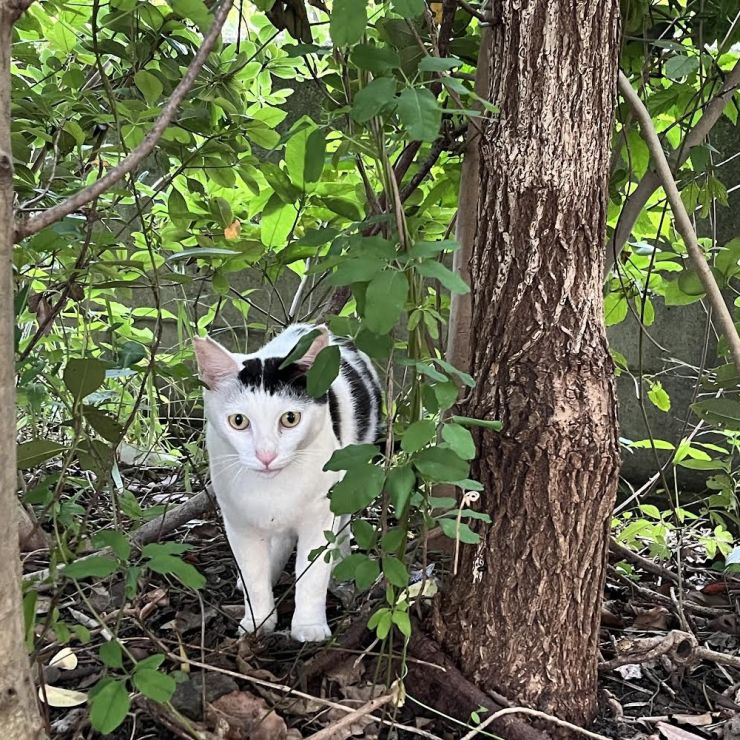 たくましく生きて！