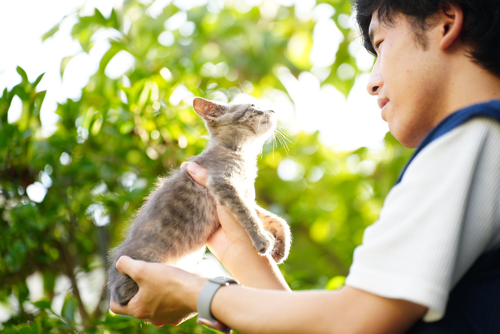 いのち、キラキラ